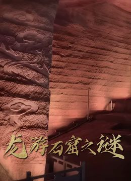 《龙游石窟之谜》海报