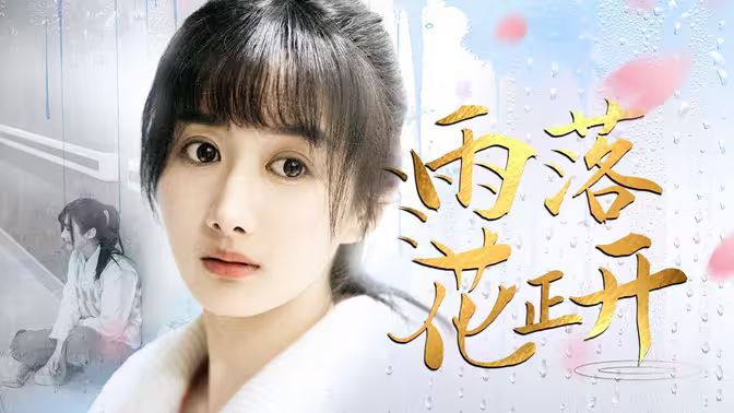《雨落花正开》海报