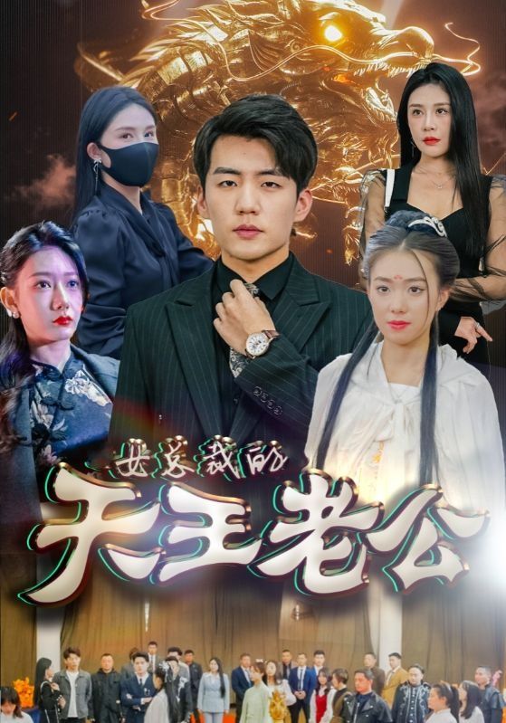 《女总裁的天王老公&amp;绝世天王》海报