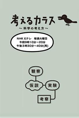 《像乌鸦一样思考》海报