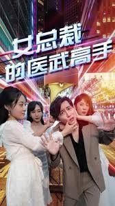 《女总裁的医武高手》海报