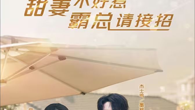 《甜妻不好惹，霸总请接招》海报
