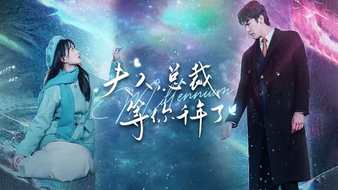 《夫人，总裁等你千年了》海报