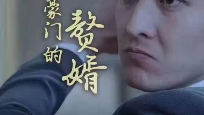 《拯救豪门的赘婿》海报