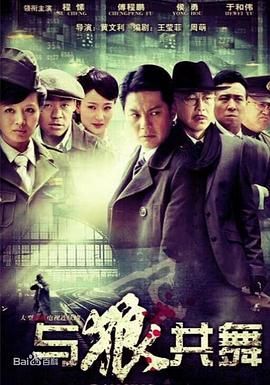 《与狼共舞 2012》海报