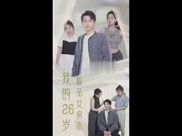 《我的26岁极品女房东》海报