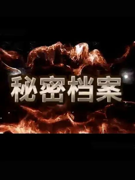 《秘密档案》海报