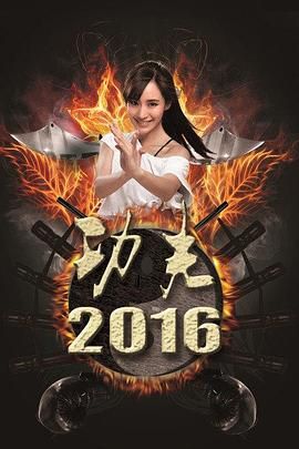 《功夫2016》海报