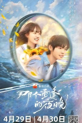 《那个重逢的夜晚》海报