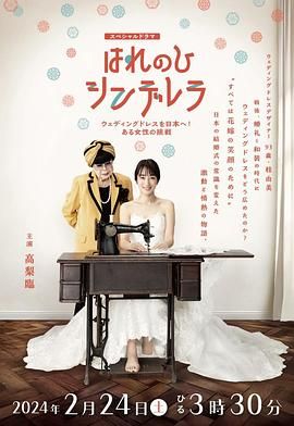 《晴天灰姑娘 把婚纱带到日本！一位女性的挑战》海报