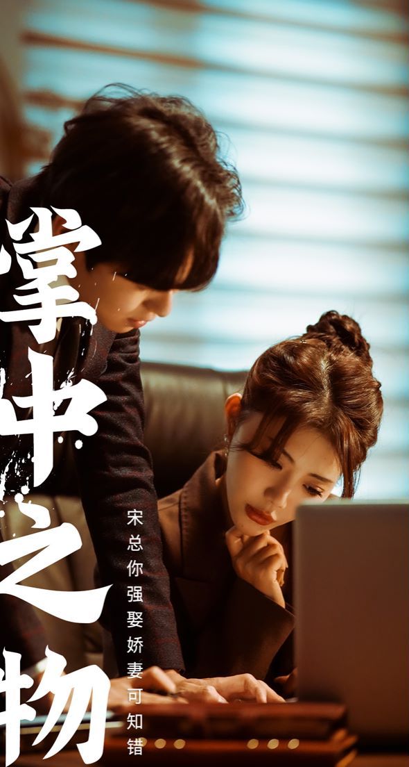 《掌中之物：宋总娶娇妻可知错》海报