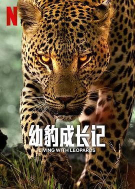《幼豹成长记》海报
