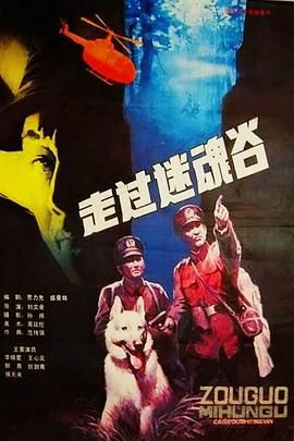 《走过迷魂谷》海报