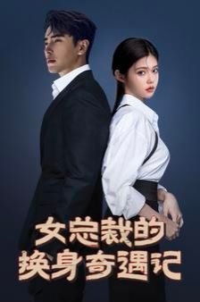 《女总裁的换身奇遇记》海报