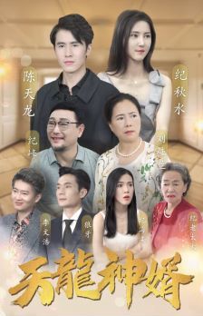 《天龙神婿》海报