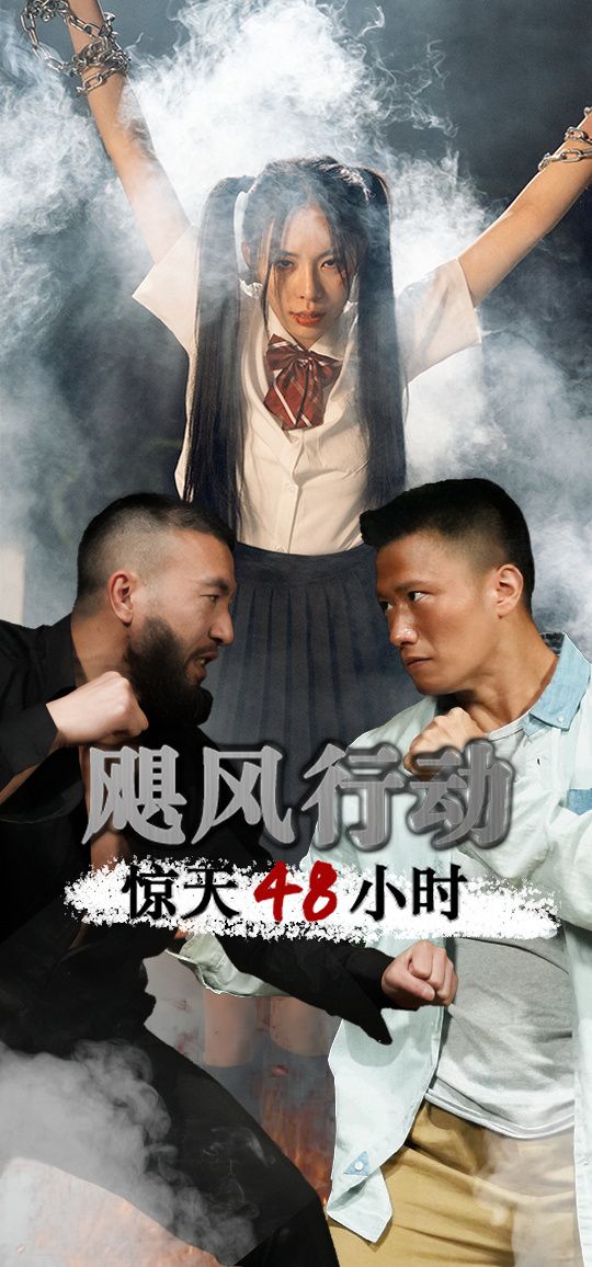 《飓风营救惊天48小时》海报