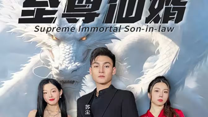 《至尊仙婿》海报