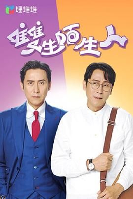 《双生陌生人 普通话版》海报