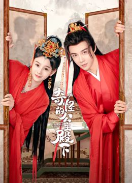 《奇怪的公主殿下》海报