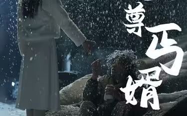 《至尊丐婿》海报