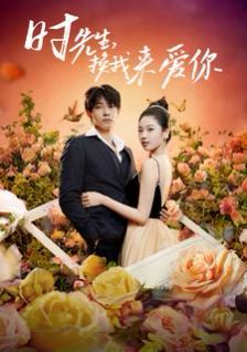 《时先生，换我来爱你》海报
