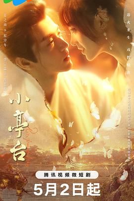 《小亭台》海报