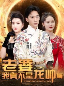 《老婆我真不是龙帅啊》海报