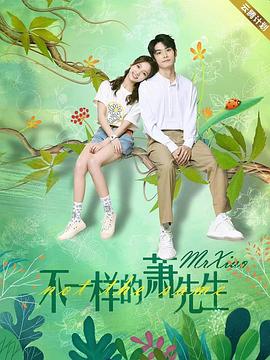 《不一样的萧先生》海报