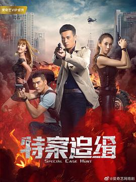 《特案追缉》海报