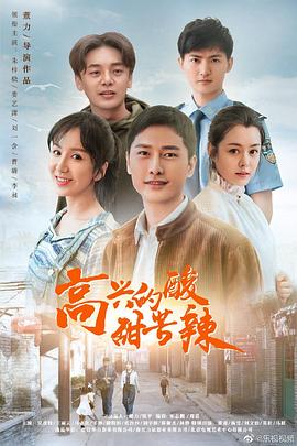 《高兴的酸甜苦辣》海报
