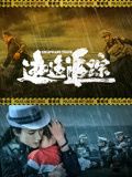 《逃逸追踪》海报