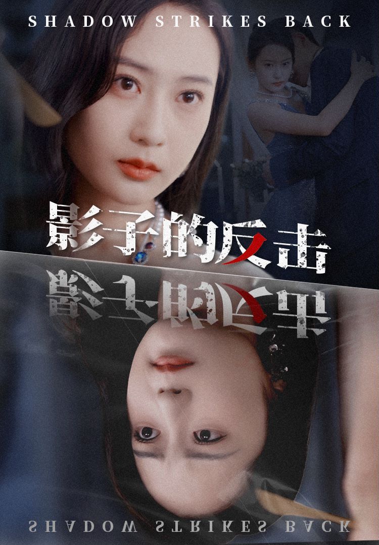 《影子的反击》海报
