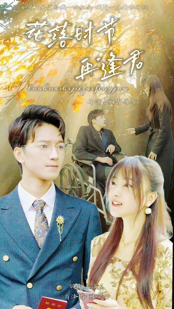 《落花时节再逢君》海报