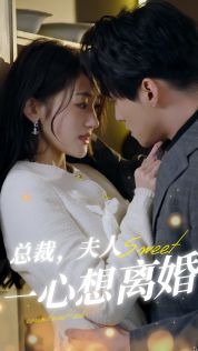 《总裁，夫人一心想离婚》海报