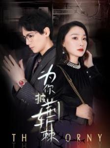 《为你披荆斩棘》海报