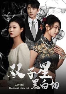 《双子星黑白切》海报
