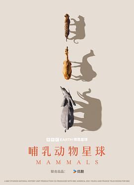 《哺乳动物星球》海报
