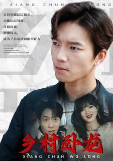《乡村卧龙》海报