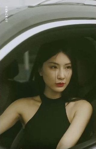 《特工凤凰（绝色特工）》海报