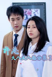 《许总，夫人又人格分裂了》海报