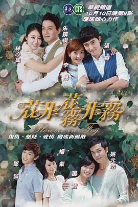 《花非花雾非雾》海报