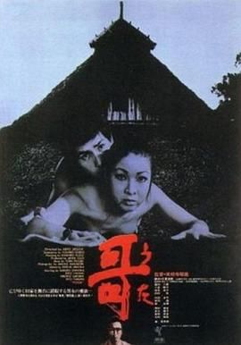 《哥》海报