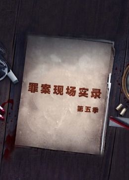 《罪案现场实录第五季》海报