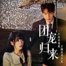《团宠归来三个哥哥帮我手撕渣男全家》海报