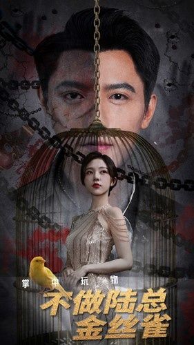 《掌中玩物不做陆总金丝雀》海报