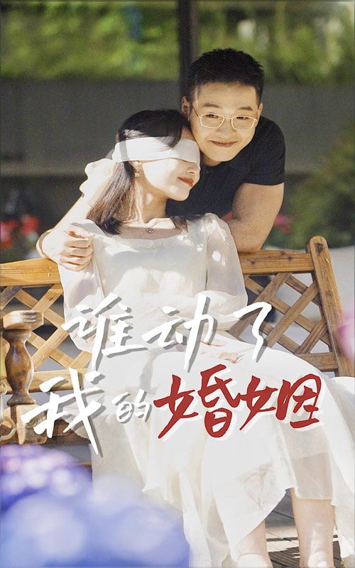 《谁动了我的婚姻》海报