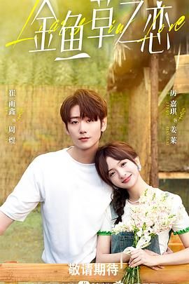 《无法抗拒的谎言》海报
