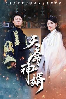 《天命神婿》海报