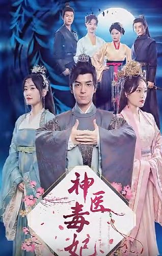 《神医毒妃》海报