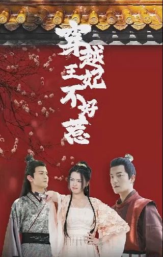 《穿越王妃不好惹》海报